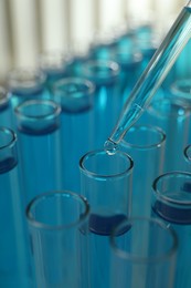 Photo of Dripping liquid into test tubes on light background, closeup