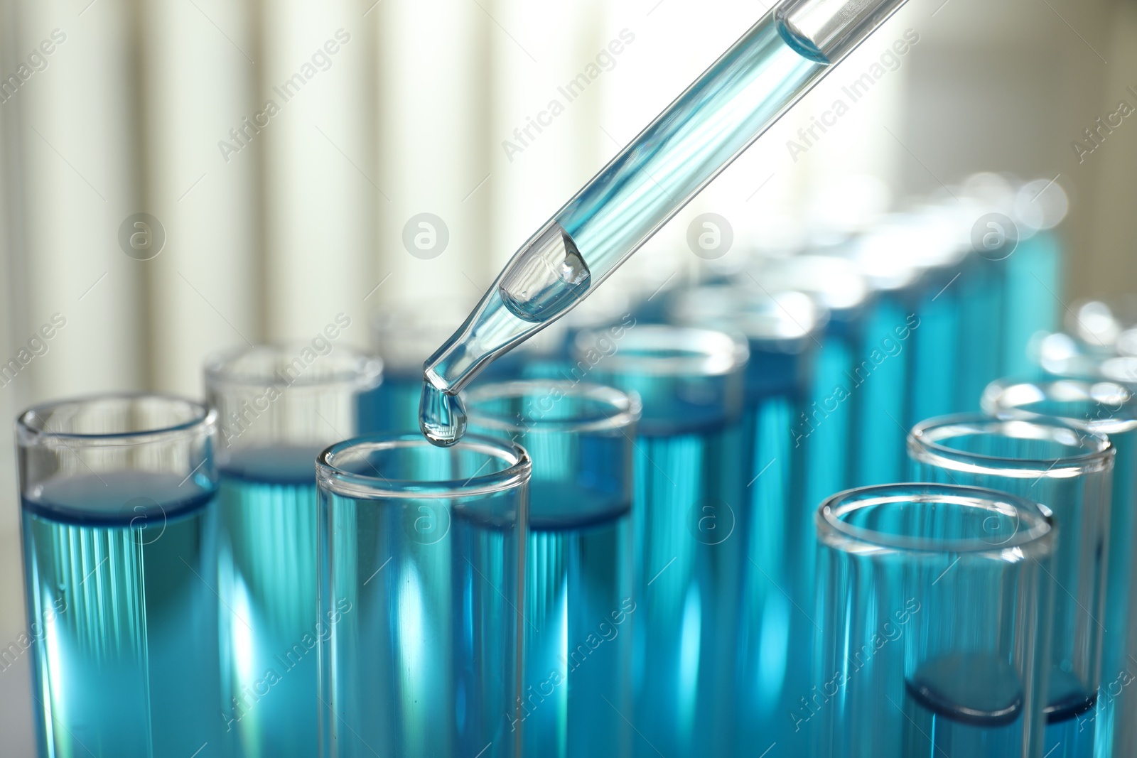 Photo of Dripping liquid into test tubes on light background, closeup