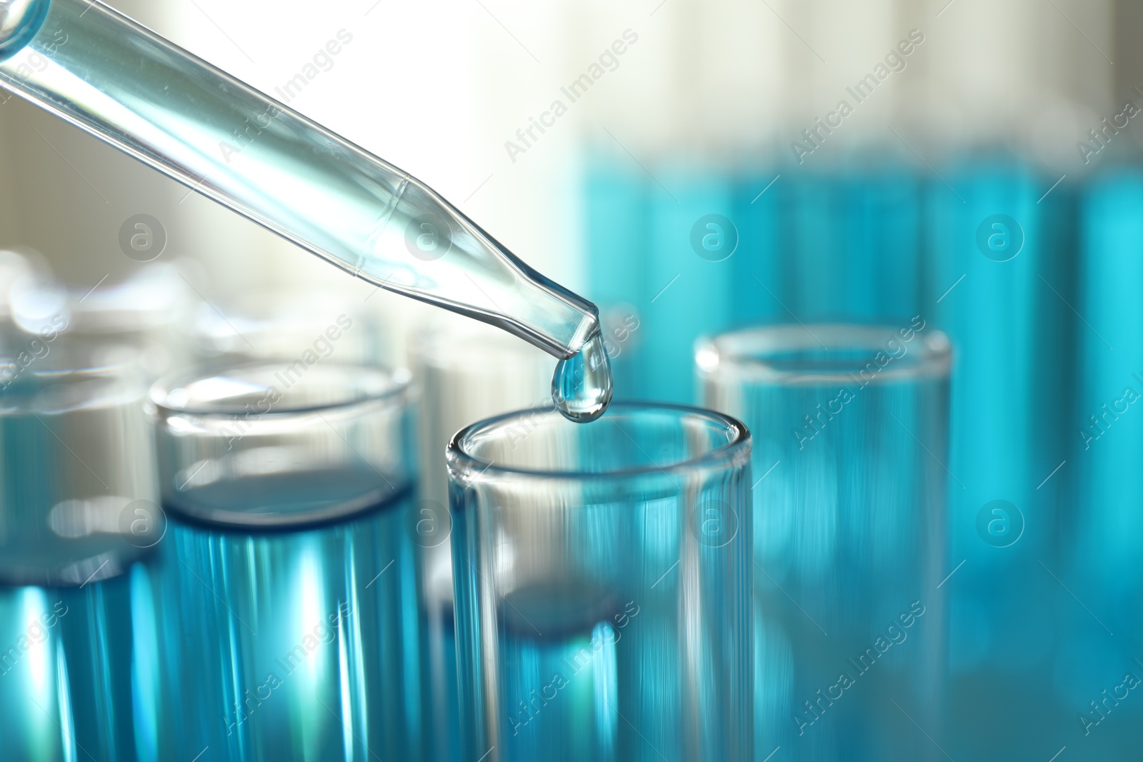 Photo of Dripping liquid into test tubes on light background, closeup