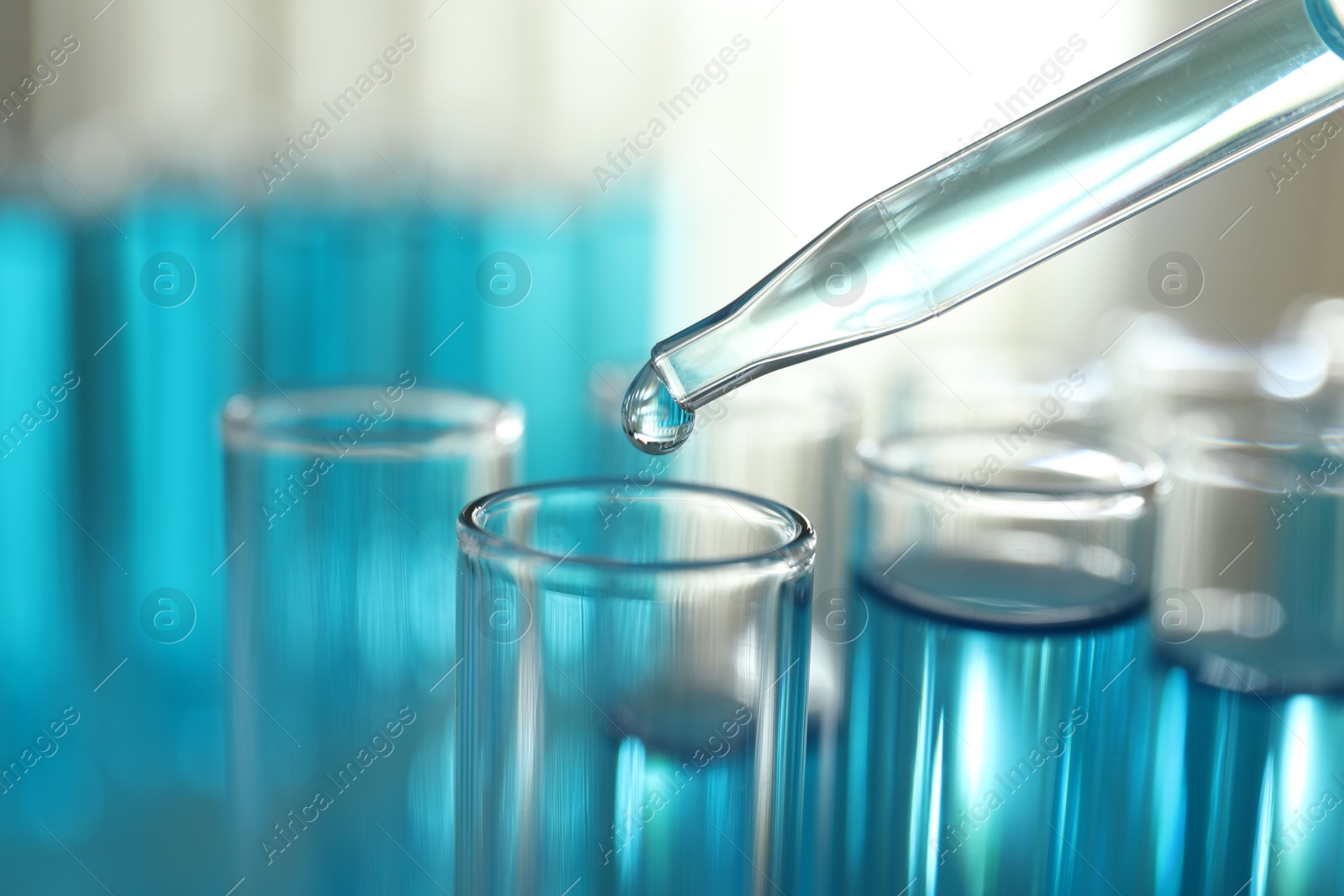 Photo of Dripping liquid into test tubes on light background, closeup