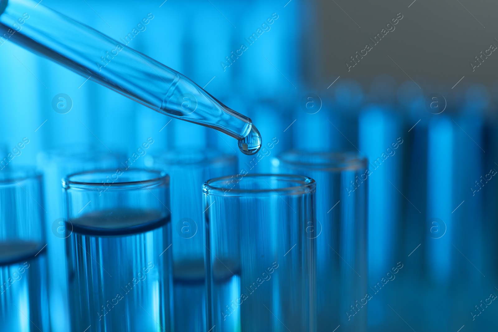 Photo of Dripping liquid into test tubes on blurred background, closeup