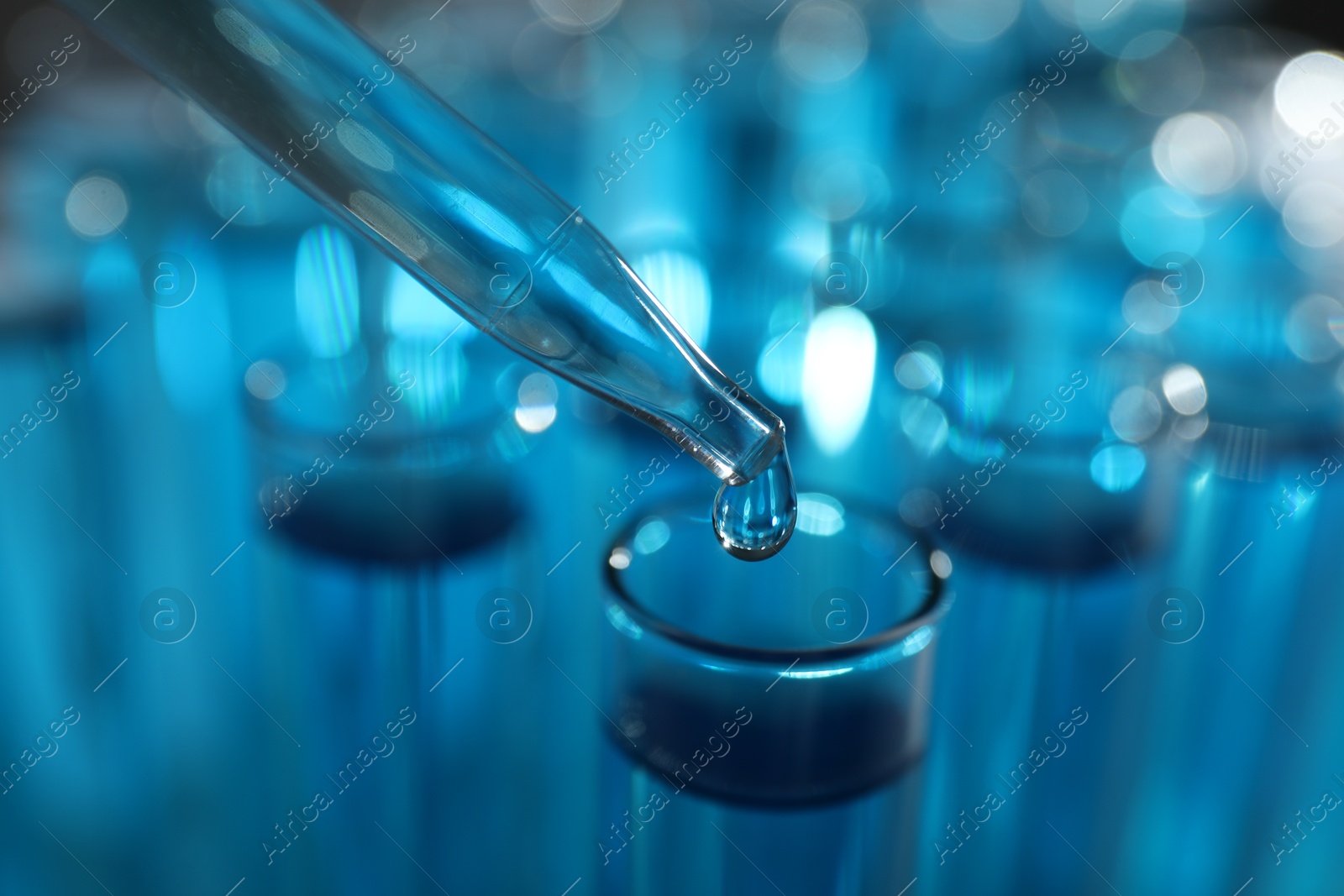 Photo of Dripping liquid into test tubes on blurred background, closeup