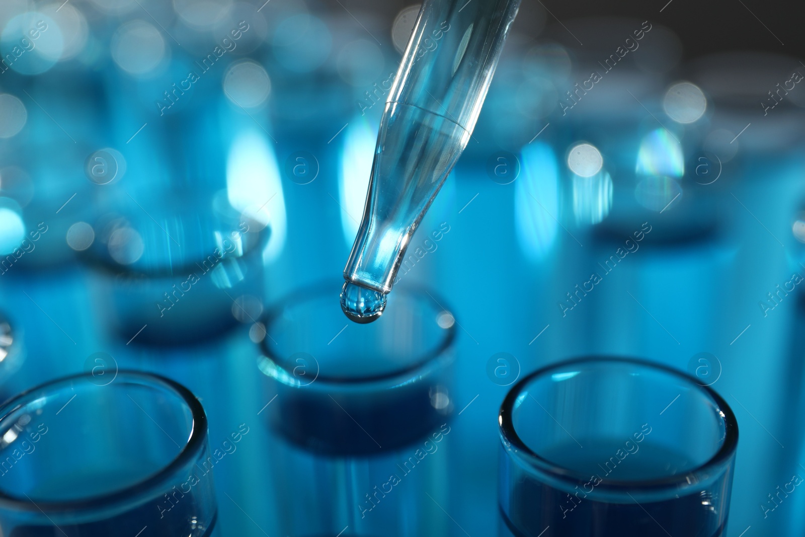 Photo of Dripping liquid into test tubes on blurred background, closeup