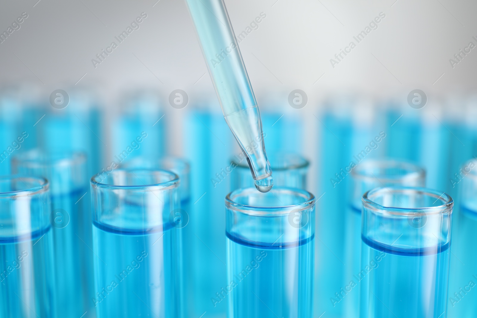 Photo of Dripping liquid into test tubes on light background, closeup