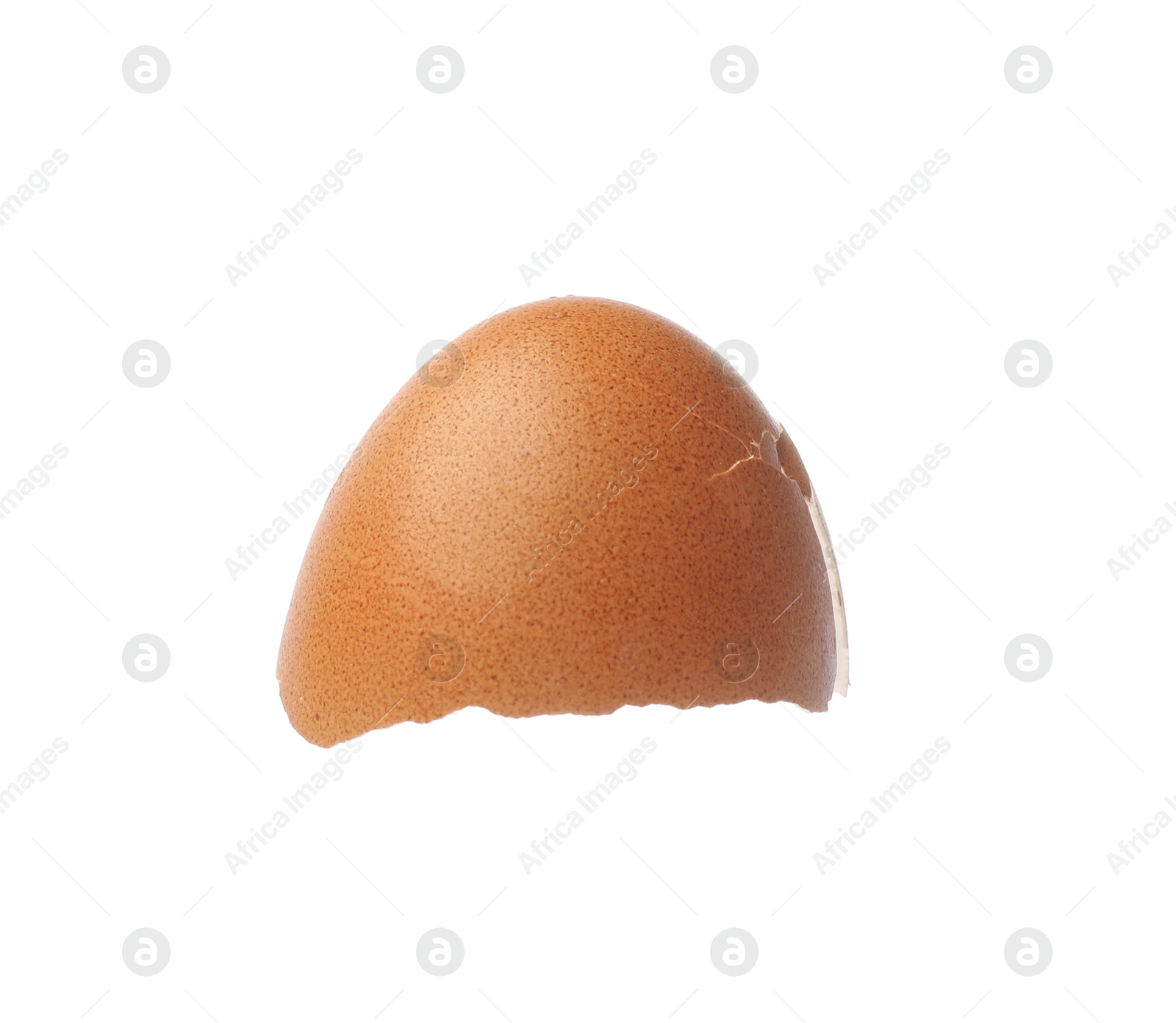 Photo of Piece of cracked eggshell isolated on white