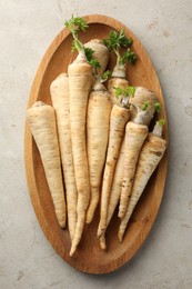 Photo of Many fresh parsley roots on grey table, top view