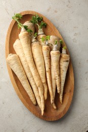 Photo of Many fresh parsley roots on grey table, top view