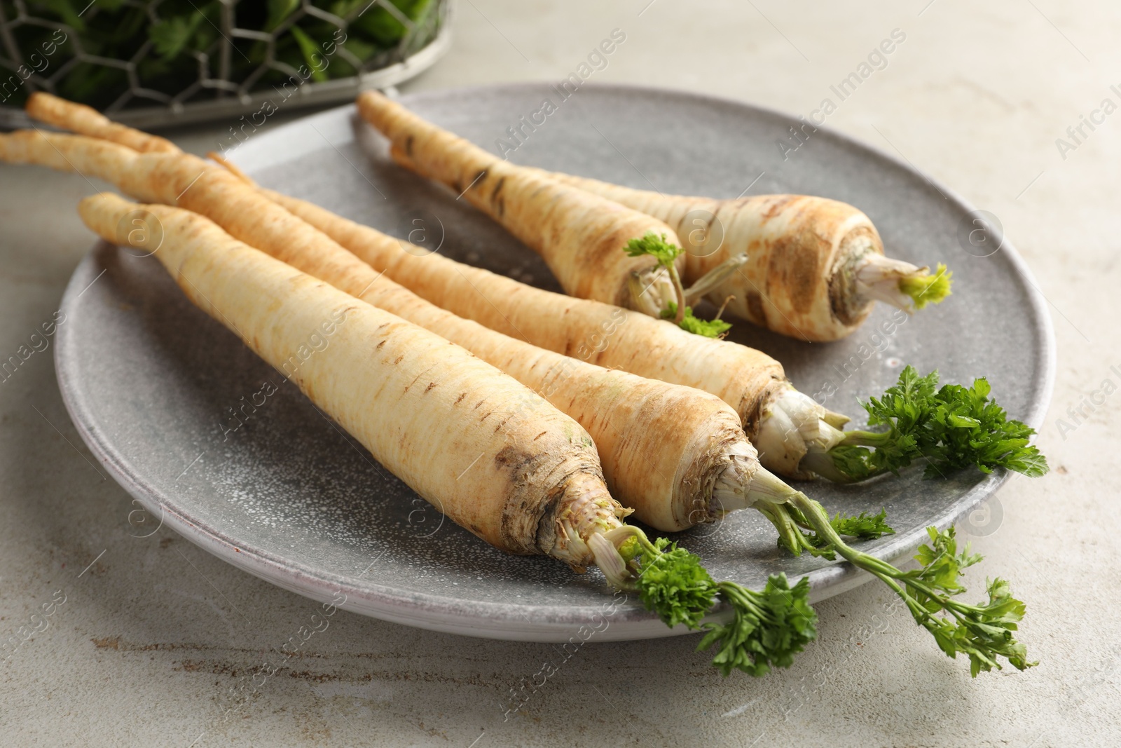 Photo of Many fresh parsley roots on grey table, closeup