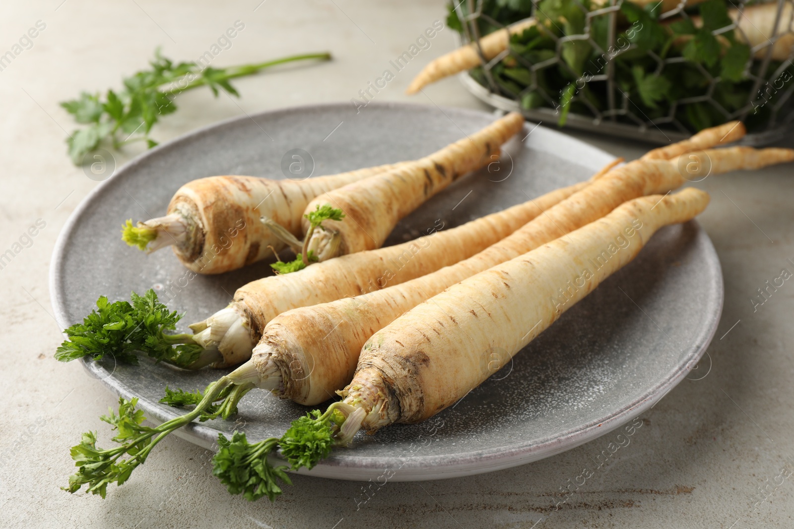 Photo of Fresh parsley and roots on grey table, closeup