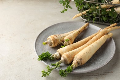 Photo of Fresh parsley and roots on grey table, closeup. Space for text