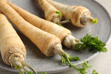 Photo of Many fresh parsley roots on grey table, closeup