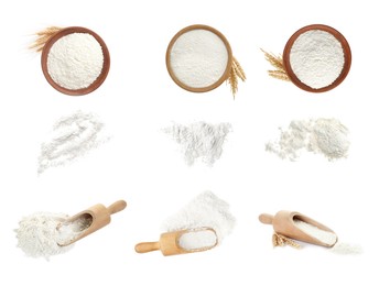 Image of Flour isolated on white, set. Bowls and scoop