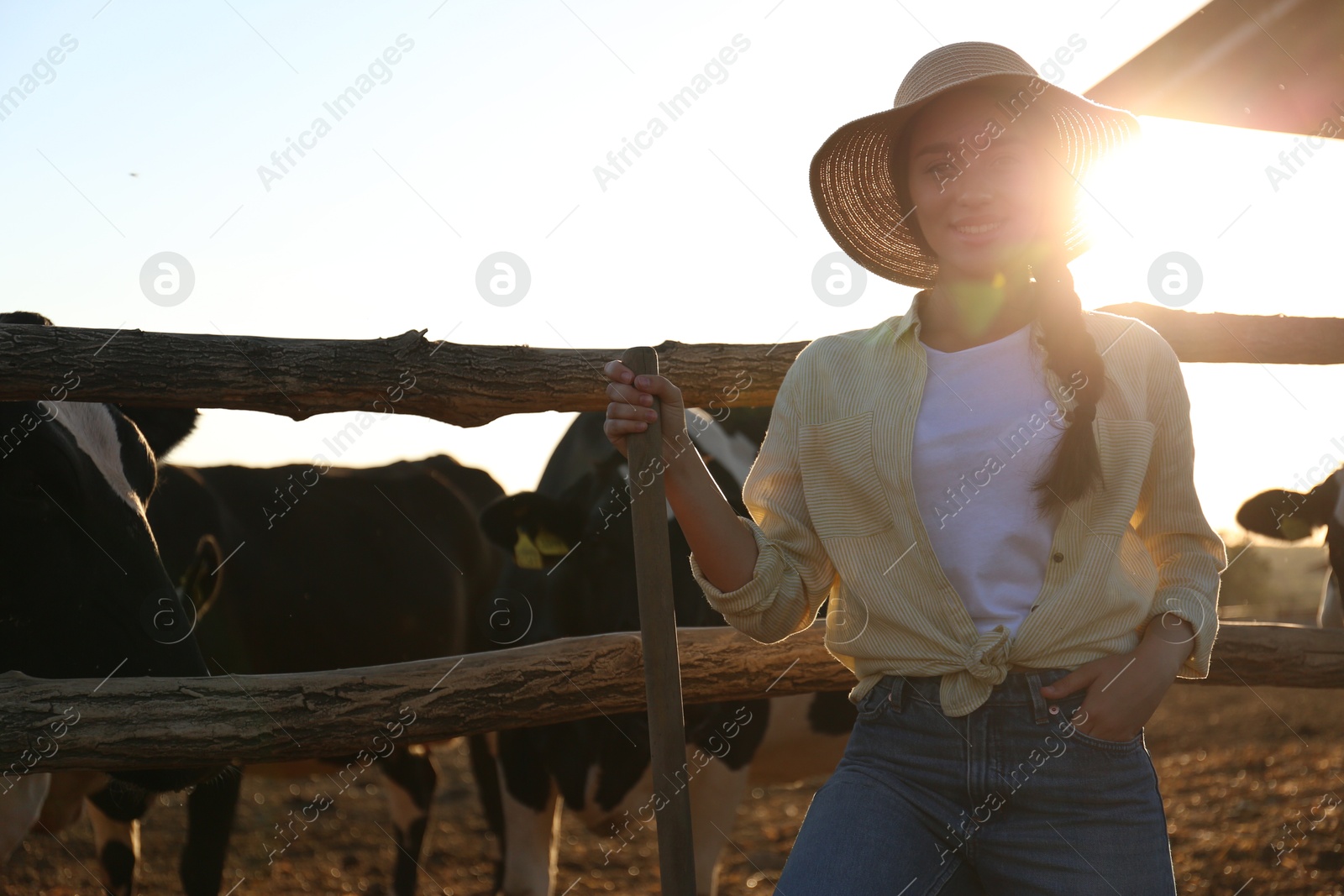 Photo of Young woman with shovel standing near cow pen on farm. Animal husbandry