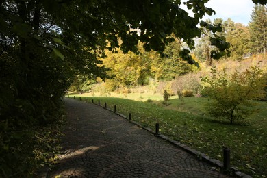 Photo of Beautiful view of green park on sunny day