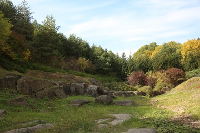 Photo of Beautiful view of trees and rocks outdoors on sunny day