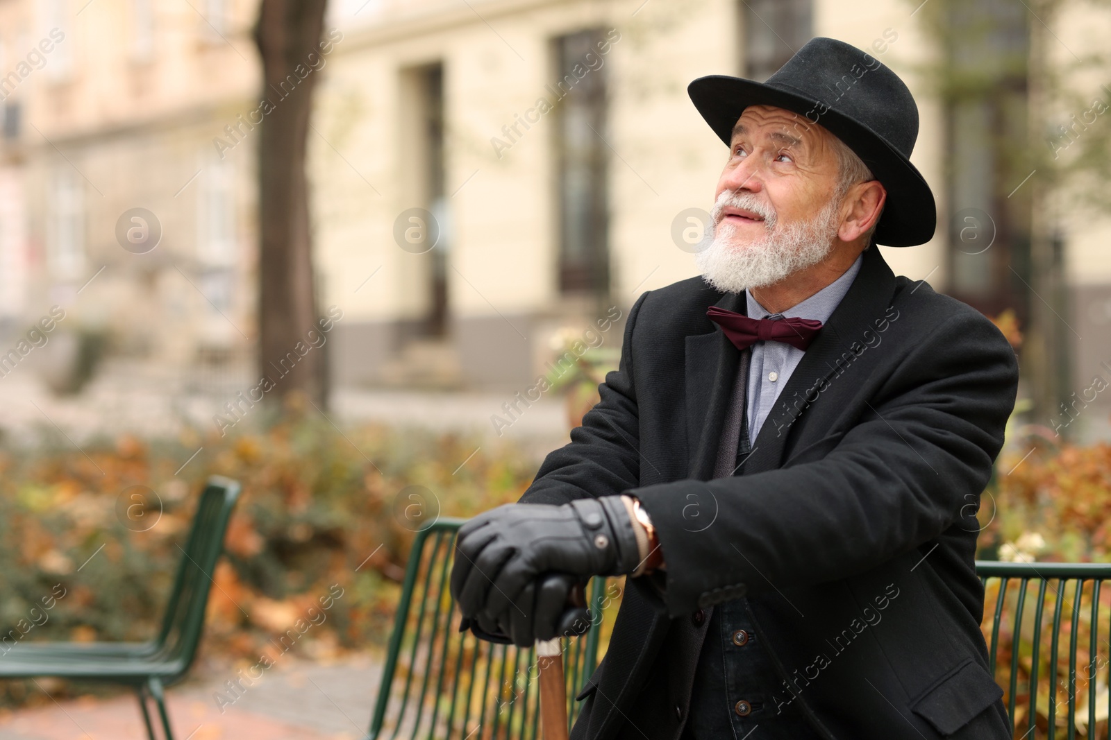 Photo of Elegant bearded man with walking cane on bench in park. Space for text