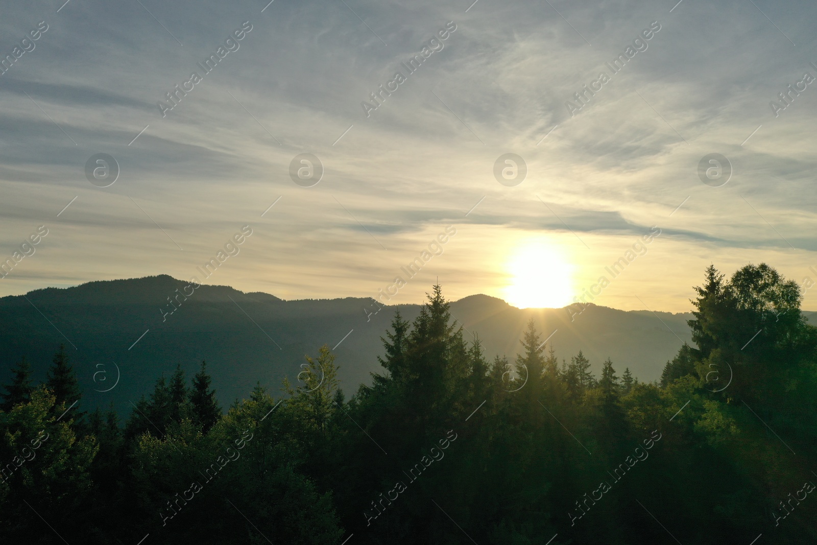 Photo of Aerial view of beautiful mountain landscape with green trees at sunrise