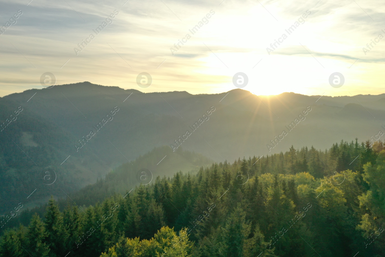 Photo of Aerial view of beautiful mountain landscape with green trees at sunrise