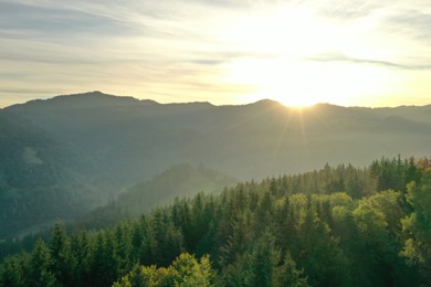 Photo of Aerial view of beautiful mountain landscape with green trees at sunrise