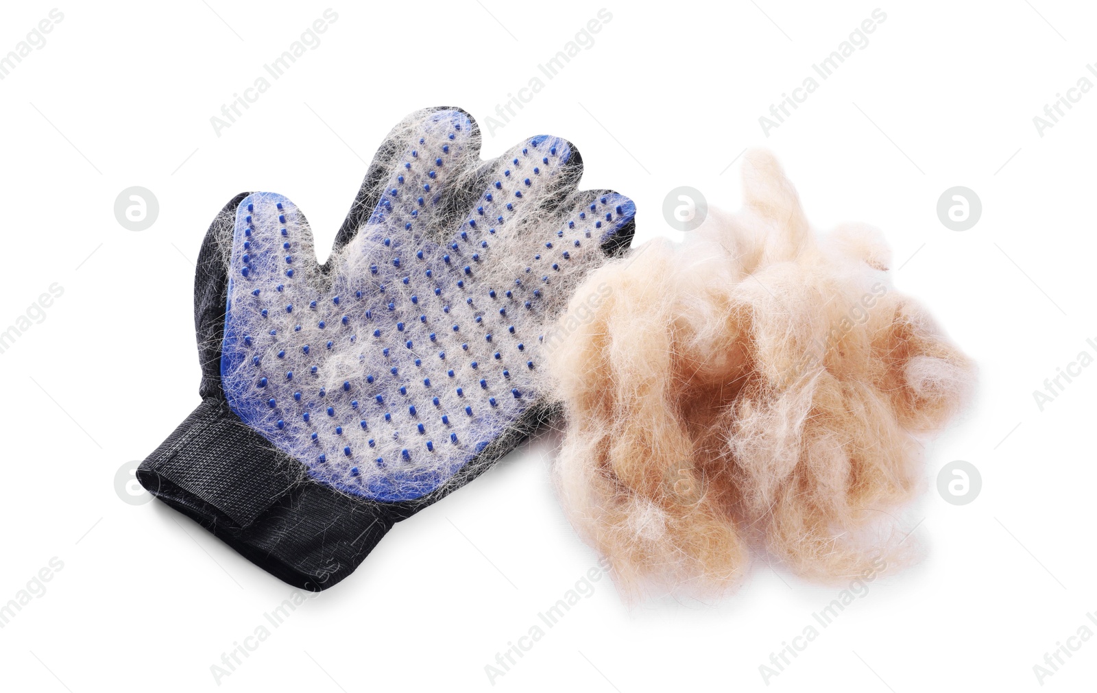 Photo of Grooming glove and pile of pet's hair on white background