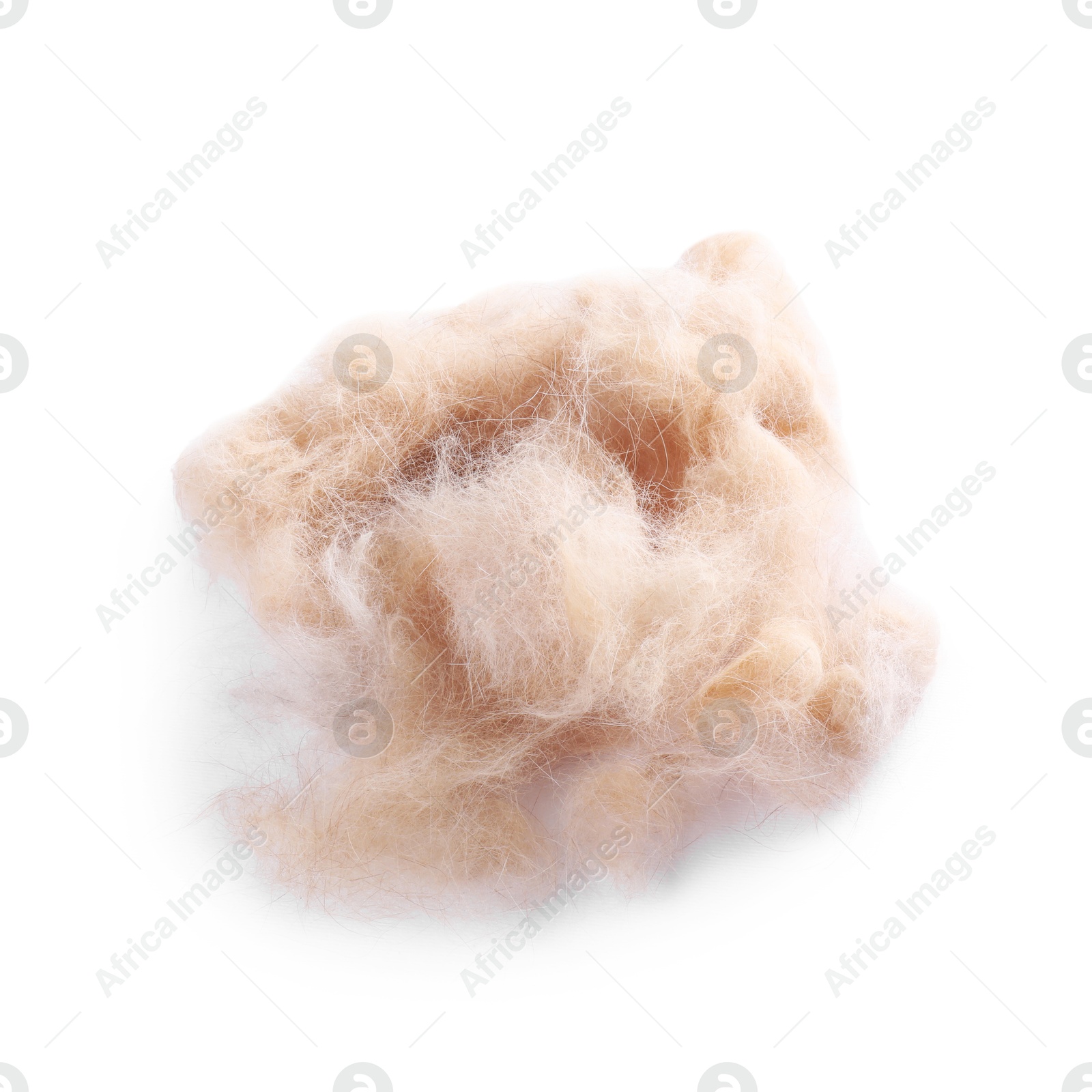 Photo of Pile of pet's hair isolated on white, above view