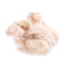 Photo of Pile of pet's hair isolated on white, above view