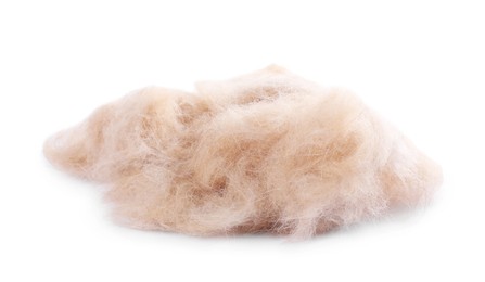 Photo of Pile of pet's hair isolated on white