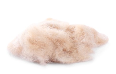 Photo of Pile of pet's hair isolated on white