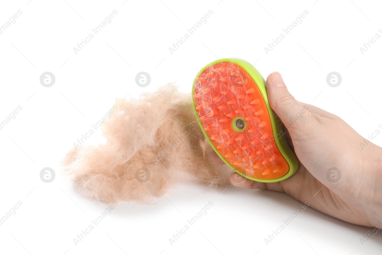 Photo of Woman holding grooming brush with pet's hair on white background, closeup