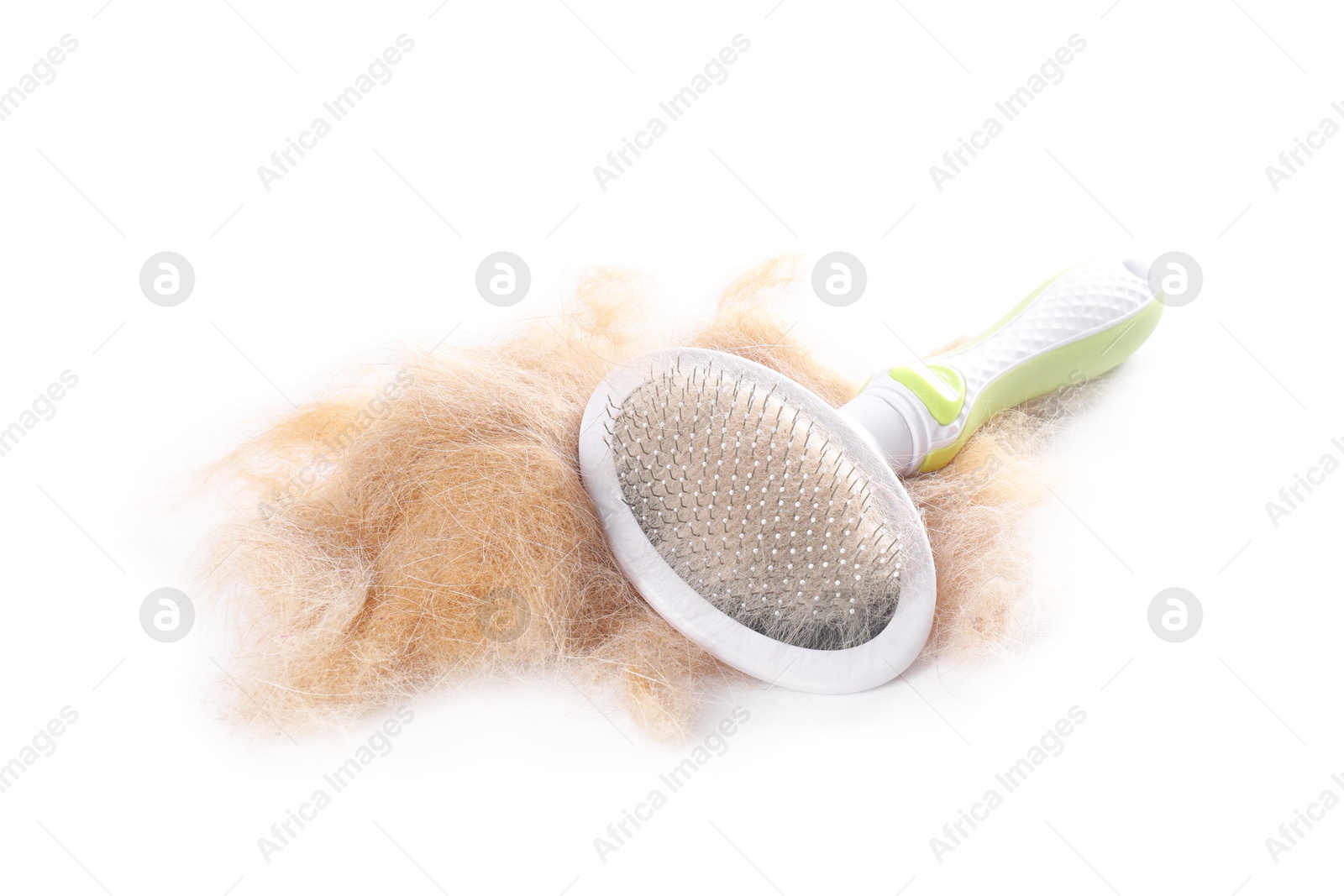 Photo of Grooming brush and pile of pet's hair isolated on white