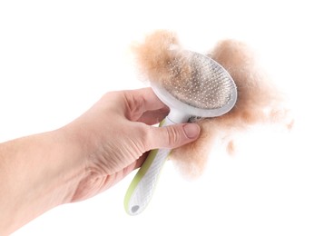 Photo of Woman holding grooming brush with pet's hair on white background, closeup