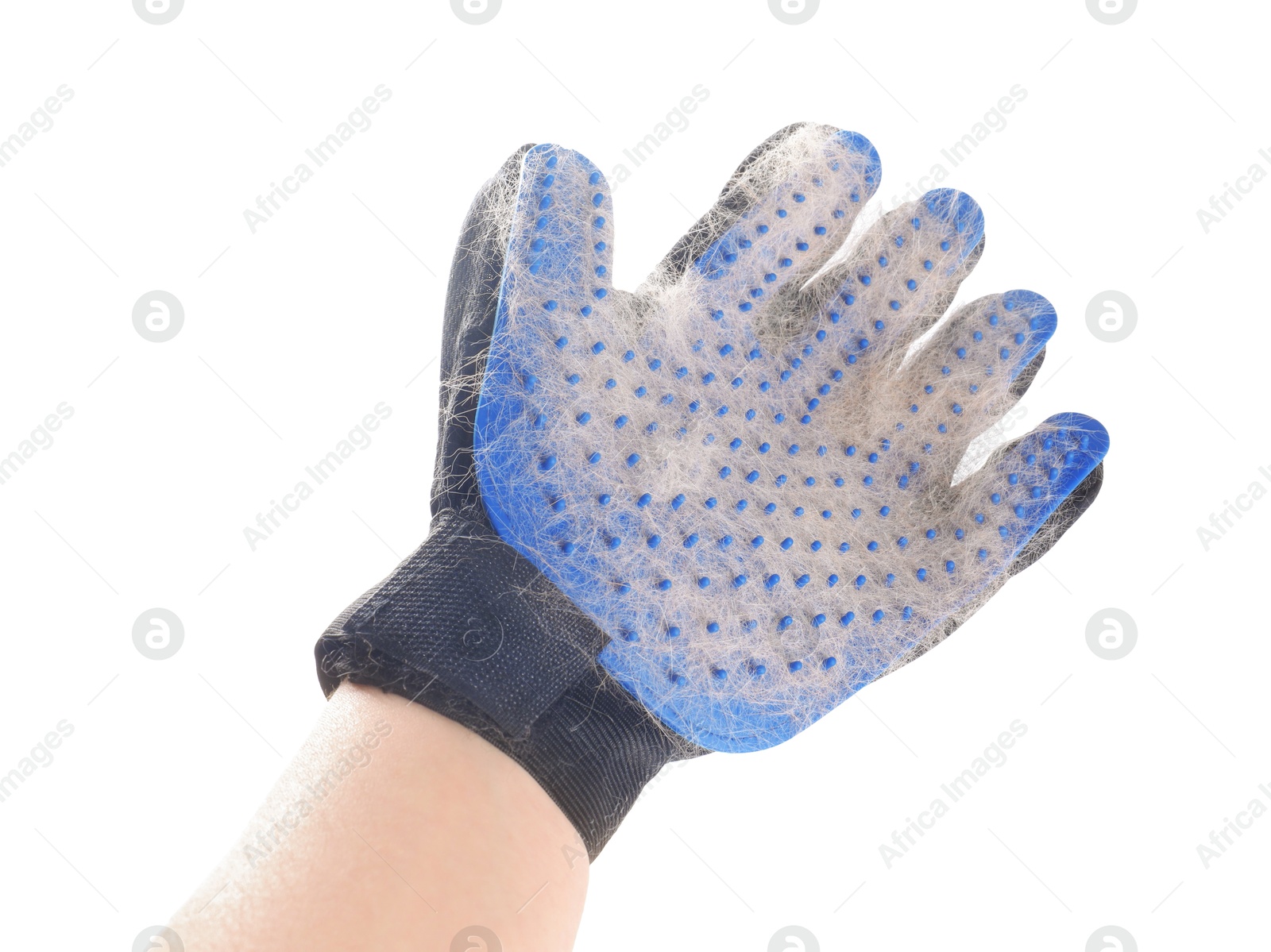 Photo of Woman wearing grooming glove with pet's hair on white background, closeup