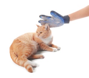 Photo of Woman brushing cat's hair with glove on white background, closeup