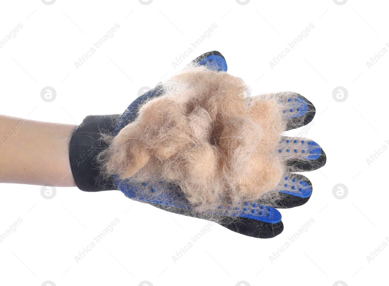 Photo of Woman wearing grooming glove with pet's hair on white background, closeup