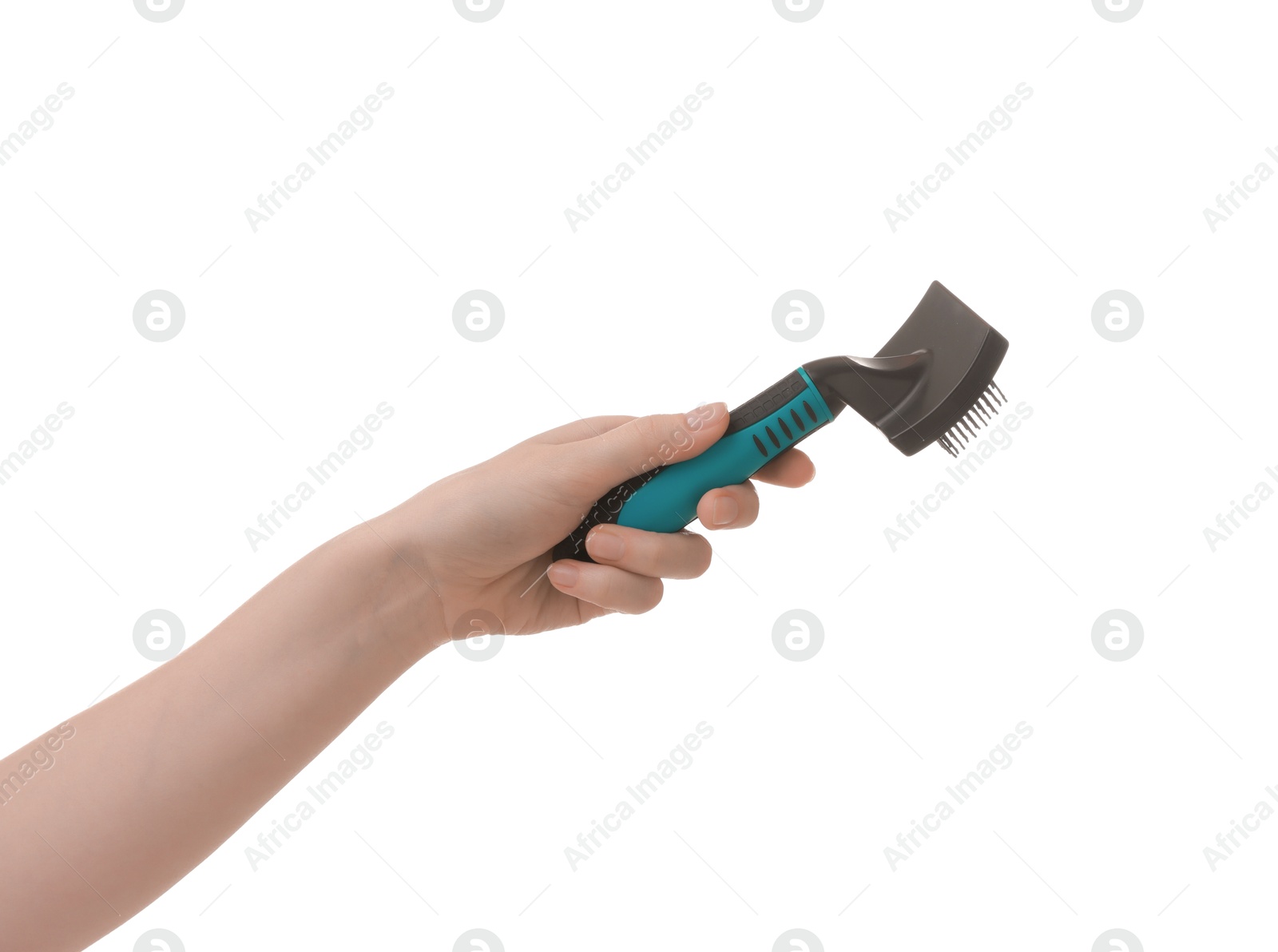 Photo of Woman with brush for pet grooming on white background, closeup