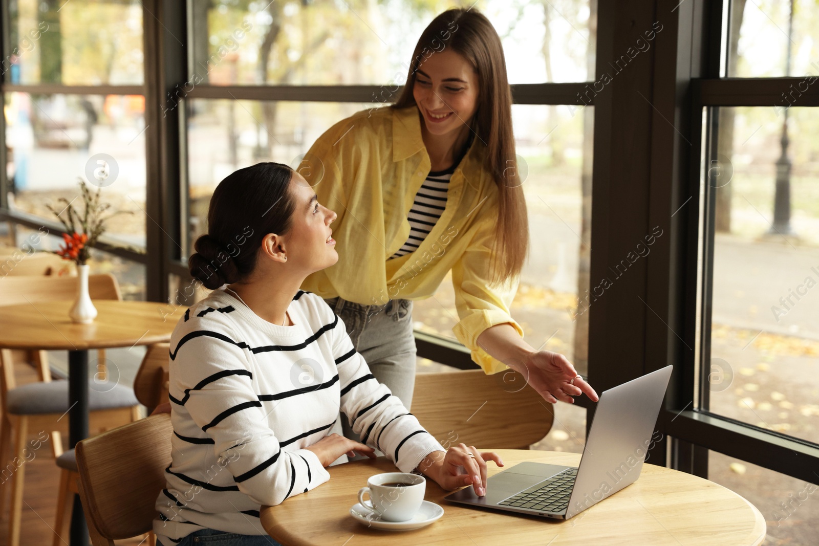 Photo of Women with laptop working together in cafe