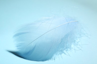 Photo of One fluffy feather on light blue background, closeup