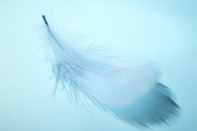 Photo of One fluffy feather on light blue background, closeup