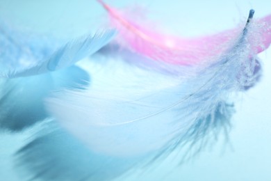 Photo of Fluffy feathers on light blue background, closeup