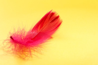 Fluffy red feather on yellow background, closeup. Space for text