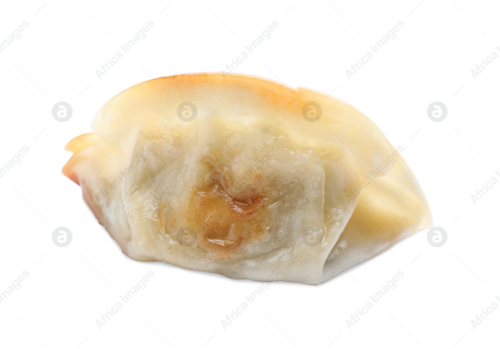 Photo of One fried gyoza dumpling isolated on white