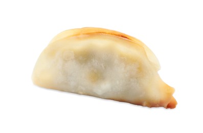 Photo of One fried gyoza dumpling isolated on white