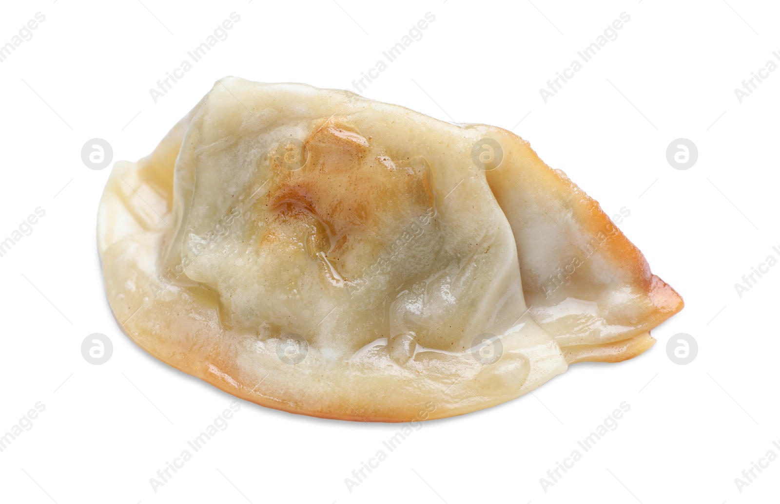 Photo of One fried gyoza dumpling isolated on white