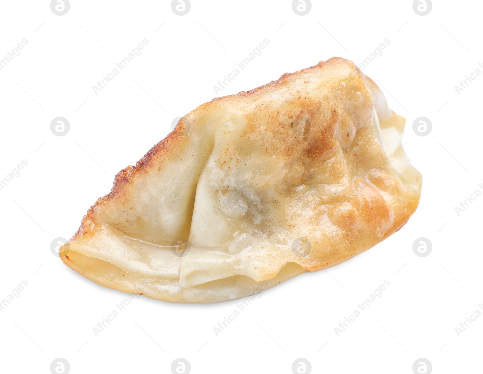 Photo of One fried gyoza dumpling isolated on white