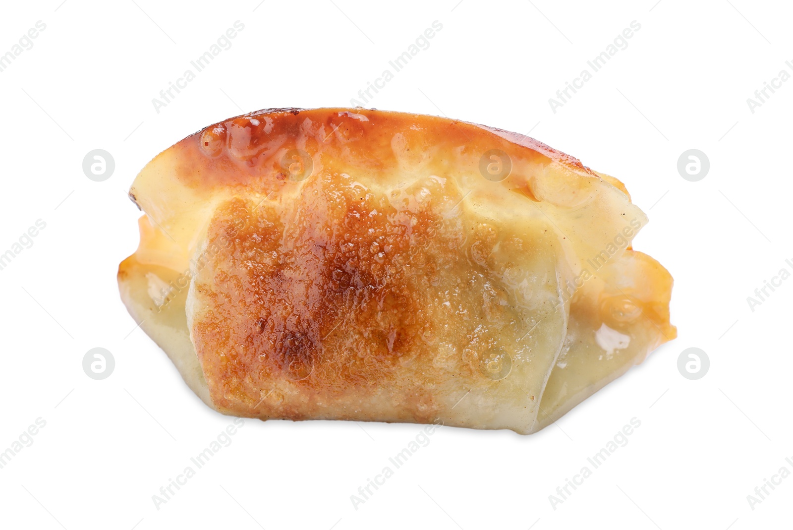 Photo of One fried gyoza dumpling isolated on white