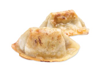 Photo of Delicious fried gyoza dumplings isolated on white