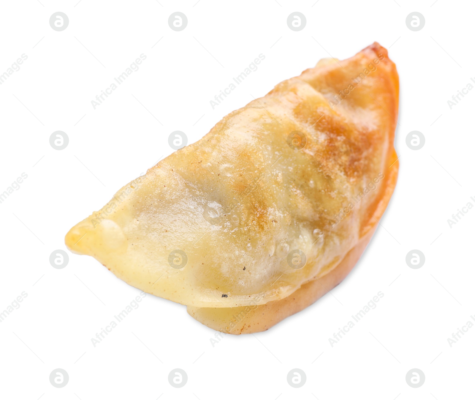 Photo of One fried gyoza dumpling isolated on white