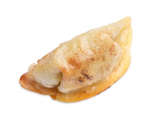 Photo of One fried gyoza dumpling isolated on white