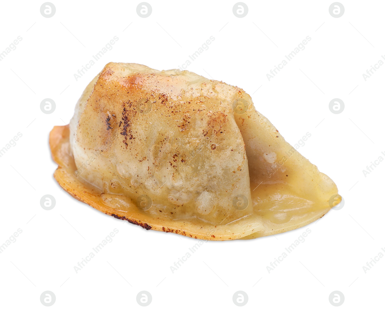 Photo of One fried gyoza dumpling isolated on white