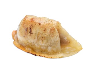 One fried gyoza dumpling isolated on white